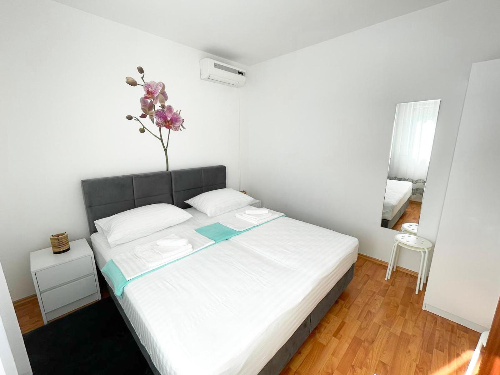 Apartmani Tatjana Novalja Dış mekan fotoğraf