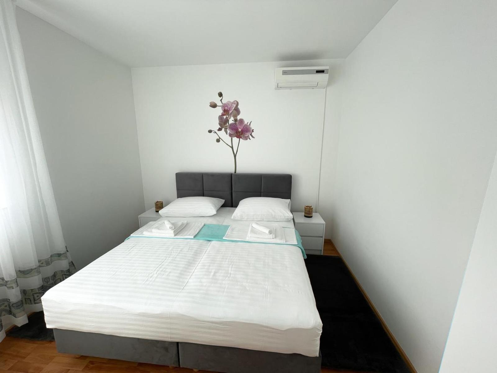 Apartmani Tatjana Novalja Dış mekan fotoğraf
